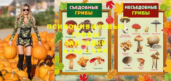 spice Абинск