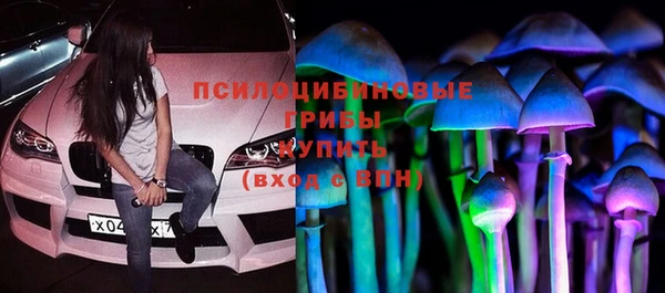 PSILOCYBIN Протвино