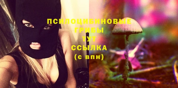 spice Абинск